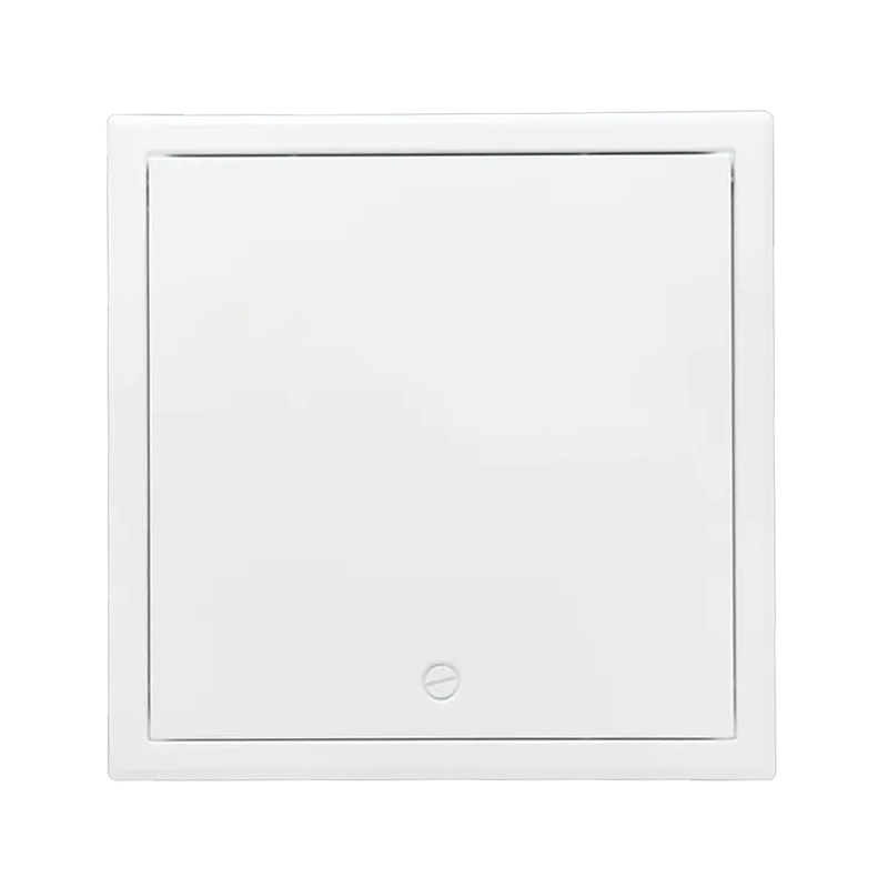 Metal Access Porta SS-AP250FF